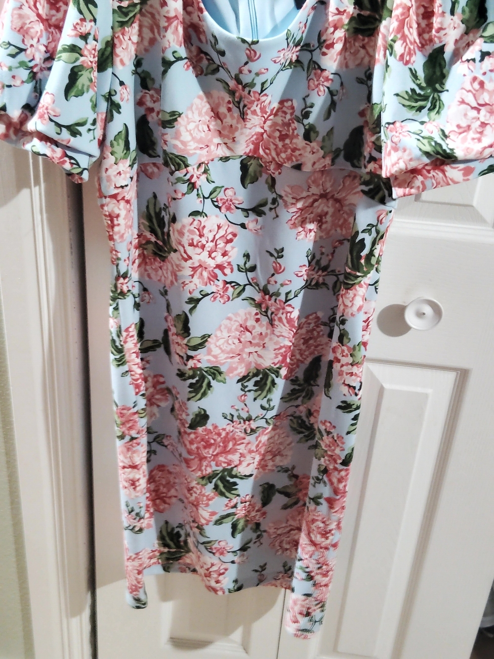 Ladies Floral Puff-Sleeve Dress - Light Blue with Pink Bloom